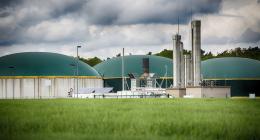 Methane gas plants 
