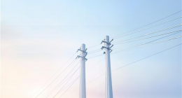 Electricity network 