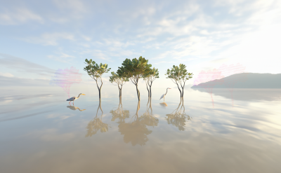 mangroves
